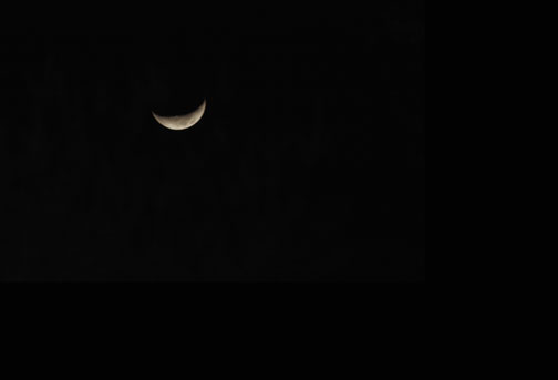 Just love a smiling moon!