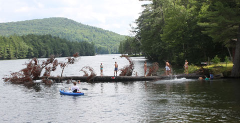 Kids-on-a-log-in-a-lake